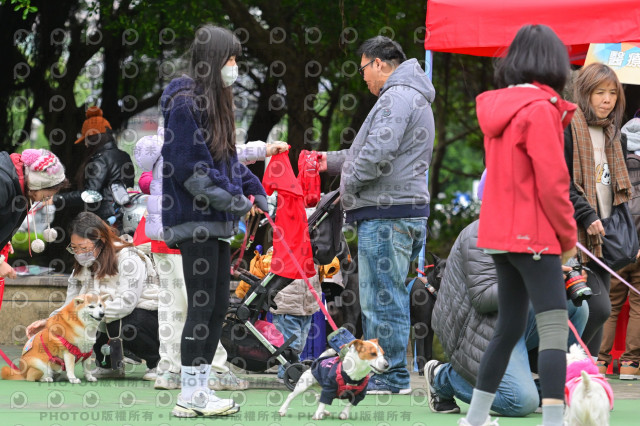 2024第六屆奔跑吧!毛小孩公益路跑