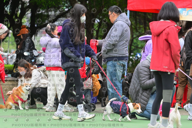 2024第六屆奔跑吧!毛小孩公益路跑