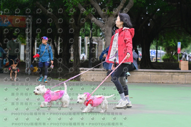 2024第六屆奔跑吧!毛小孩公益路跑