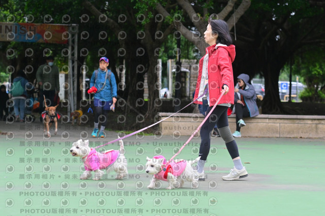 2024第六屆奔跑吧!毛小孩公益路跑
