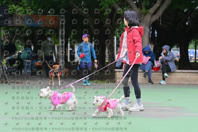 2024第六屆奔跑吧!毛小孩公益路跑