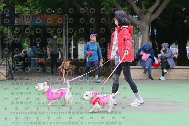 2024第六屆奔跑吧!毛小孩公益路跑