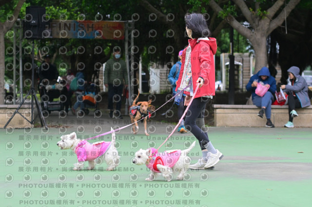 2024第六屆奔跑吧!毛小孩公益路跑