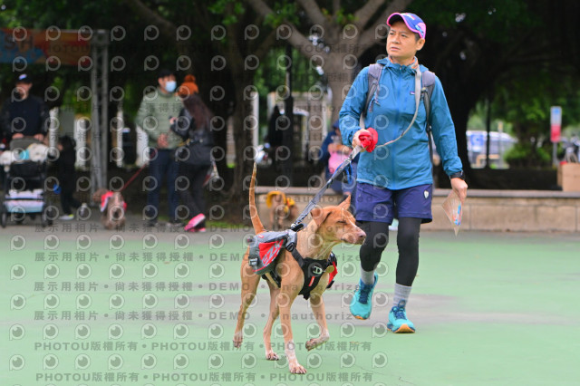 2024第六屆奔跑吧!毛小孩公益路跑