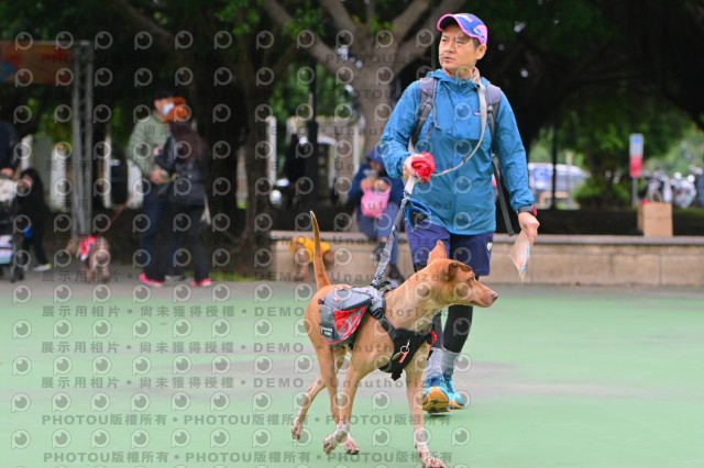 2024第六屆奔跑吧!毛小孩公益路跑