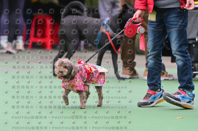 2024第六屆奔跑吧!毛小孩公益路跑