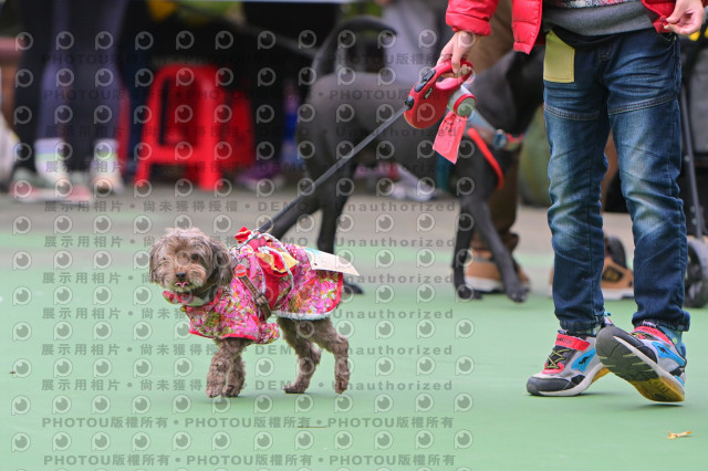 2024第六屆奔跑吧!毛小孩公益路跑