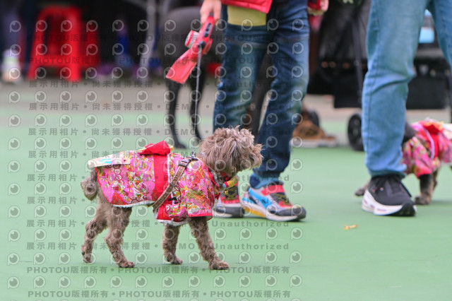 2024第六屆奔跑吧!毛小孩公益路跑