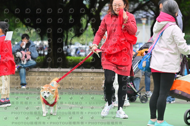 2024第六屆奔跑吧!毛小孩公益路跑