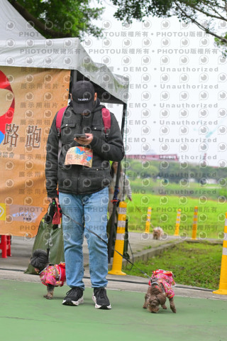 2024第六屆奔跑吧!毛小孩公益路跑
