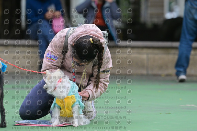 2024第六屆奔跑吧!毛小孩公益路跑