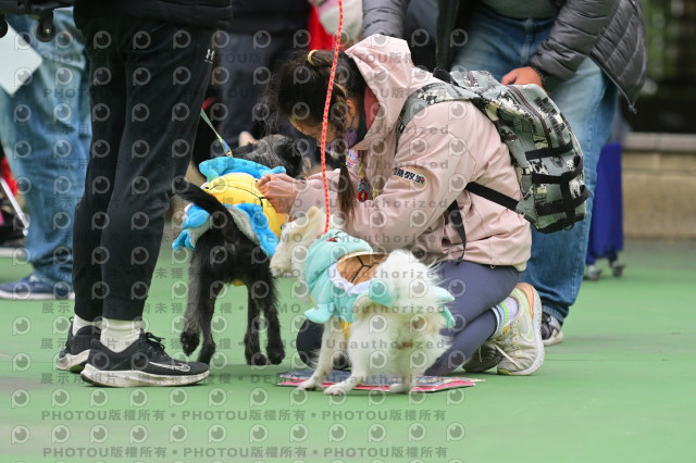 2024第六屆奔跑吧!毛小孩公益路跑