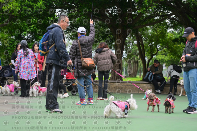 2024第六屆奔跑吧!毛小孩公益路跑