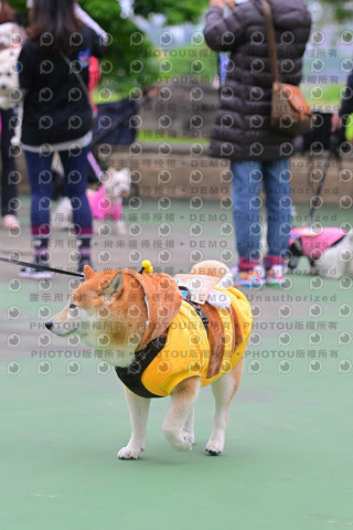 2024第六屆奔跑吧!毛小孩公益路跑