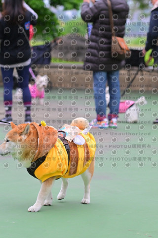 2024第六屆奔跑吧!毛小孩公益路跑
