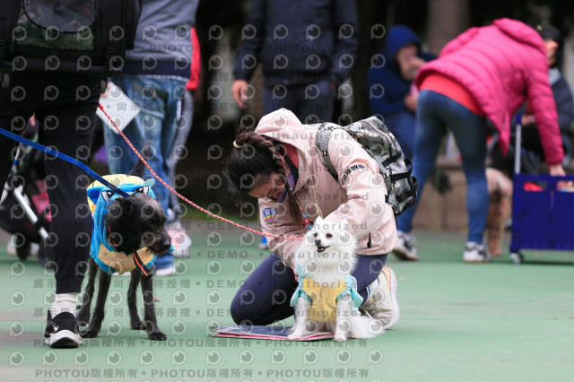 2024第六屆奔跑吧!毛小孩公益路跑