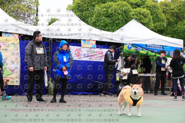 2024第六屆奔跑吧!毛小孩公益路跑