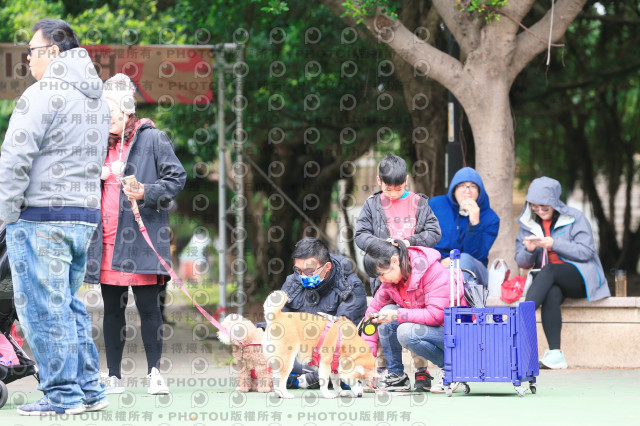 2024第六屆奔跑吧!毛小孩公益路跑