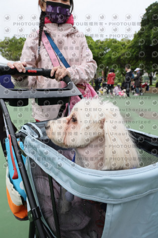 2024第六屆奔跑吧!毛小孩公益路跑