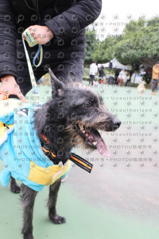2024第六屆奔跑吧!毛小孩公益路跑