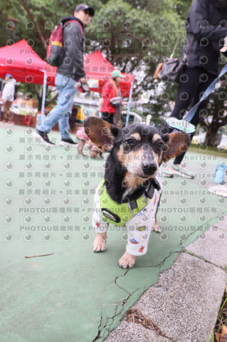 2024第六屆奔跑吧!毛小孩公益路跑