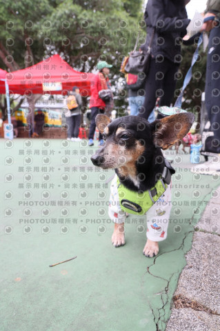 2024第六屆奔跑吧!毛小孩公益路跑