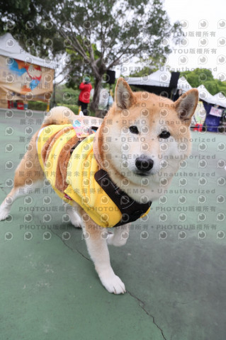 2024第六屆奔跑吧!毛小孩公益路跑
