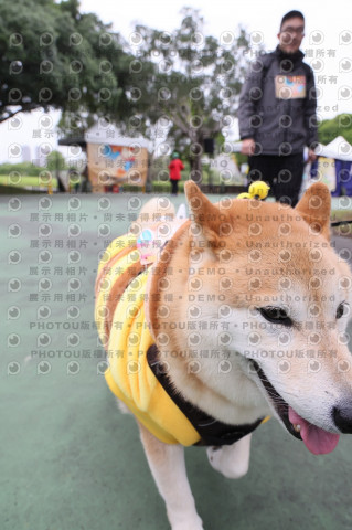 2024第六屆奔跑吧!毛小孩公益路跑