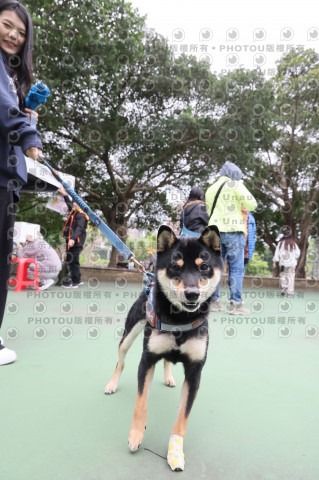 2024第六屆奔跑吧!毛小孩公益路跑