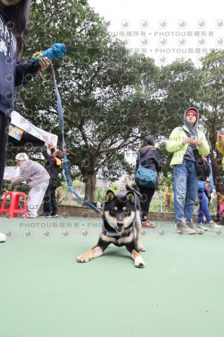 2024第六屆奔跑吧!毛小孩公益路跑