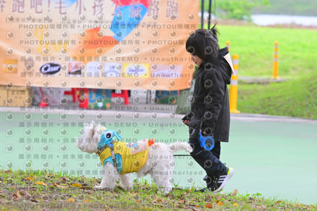 2024第六屆奔跑吧!毛小孩公益路跑