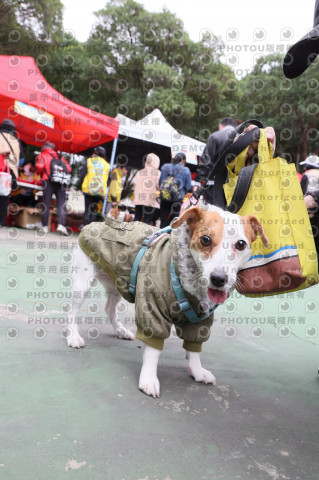 2024第六屆奔跑吧!毛小孩公益路跑