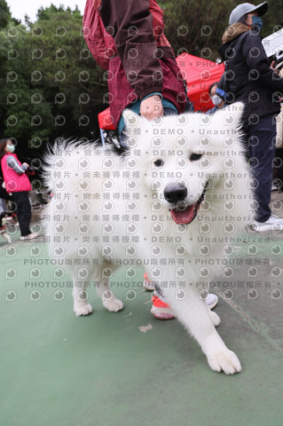 2024第六屆奔跑吧!毛小孩公益路跑