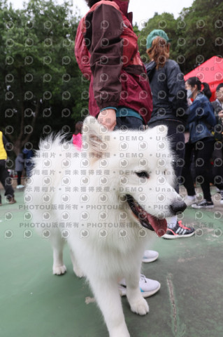 2024第六屆奔跑吧!毛小孩公益路跑