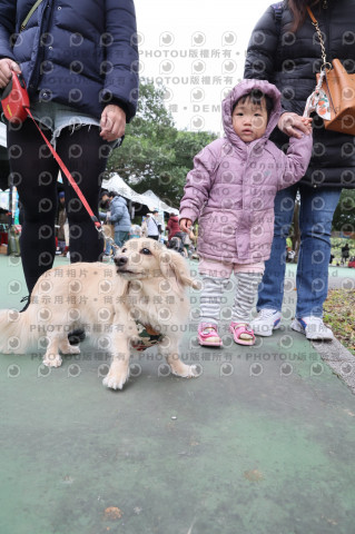 2024第六屆奔跑吧!毛小孩公益路跑