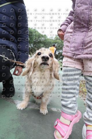 2024第六屆奔跑吧!毛小孩公益路跑