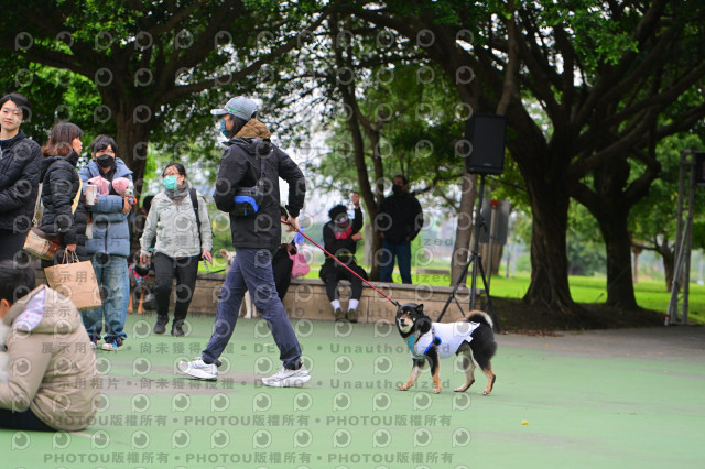 2024第六屆奔跑吧!毛小孩公益路跑