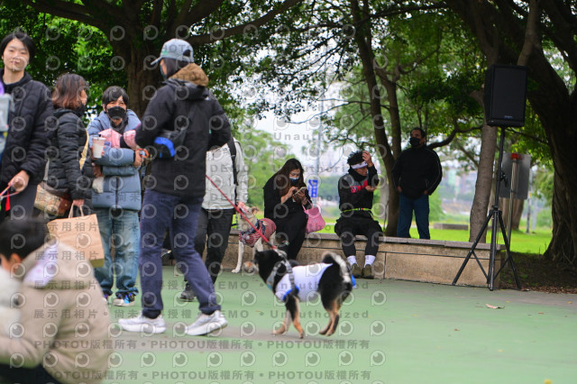 2024第六屆奔跑吧!毛小孩公益路跑