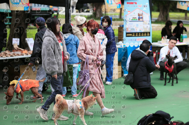 2024第六屆奔跑吧!毛小孩公益路跑