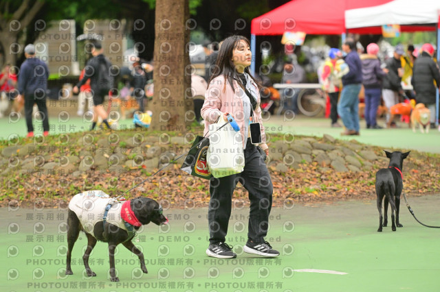 2024第六屆奔跑吧!毛小孩公益路跑