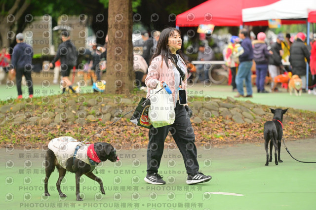 2024第六屆奔跑吧!毛小孩公益路跑