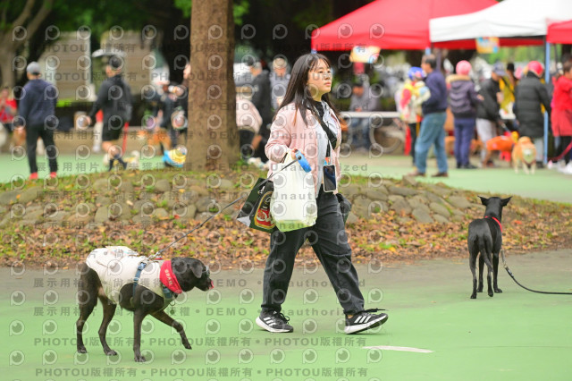 2024第六屆奔跑吧!毛小孩公益路跑