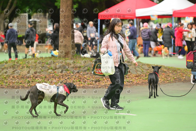 2024第六屆奔跑吧!毛小孩公益路跑