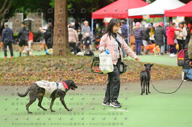 2024第六屆奔跑吧!毛小孩公益路跑
