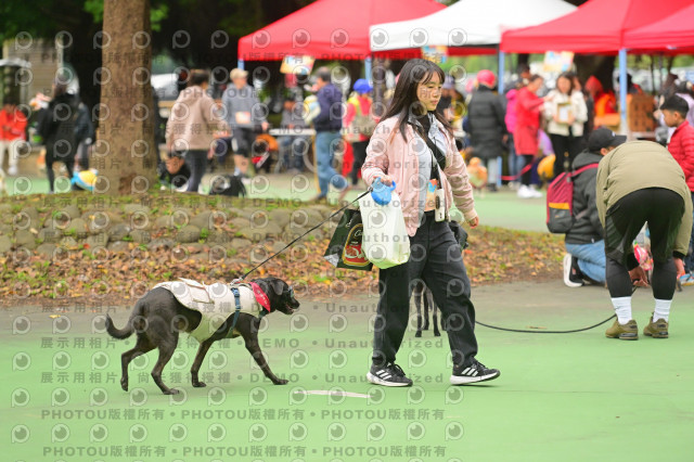 2024第六屆奔跑吧!毛小孩公益路跑