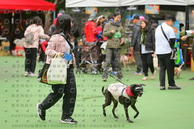 2024第六屆奔跑吧!毛小孩公益路跑
