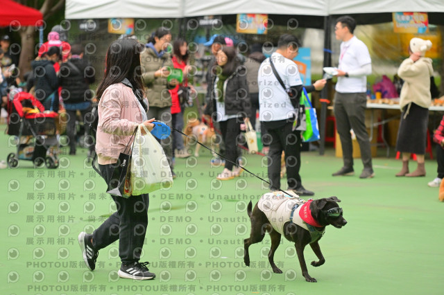 2024第六屆奔跑吧!毛小孩公益路跑
