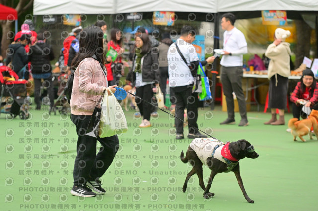 2024第六屆奔跑吧!毛小孩公益路跑
