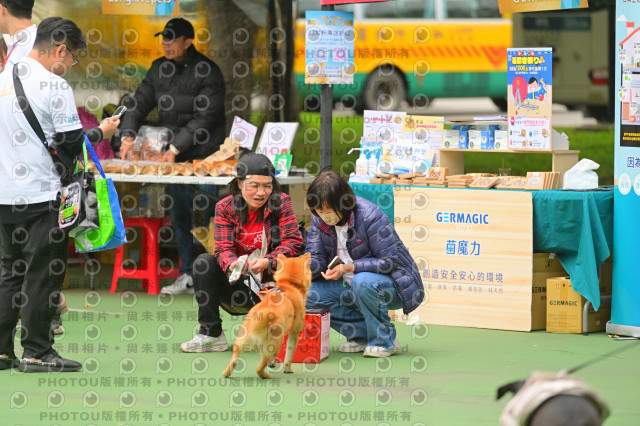 2024第六屆奔跑吧!毛小孩公益路跑