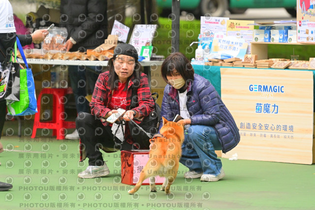 2024第六屆奔跑吧!毛小孩公益路跑